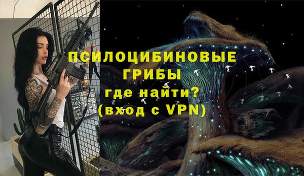 соль ск Бугульма