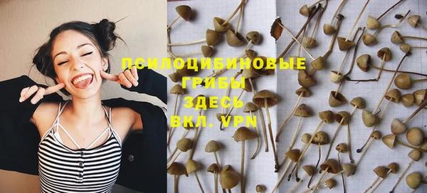 скорость Бородино