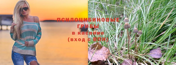 скорость Бородино
