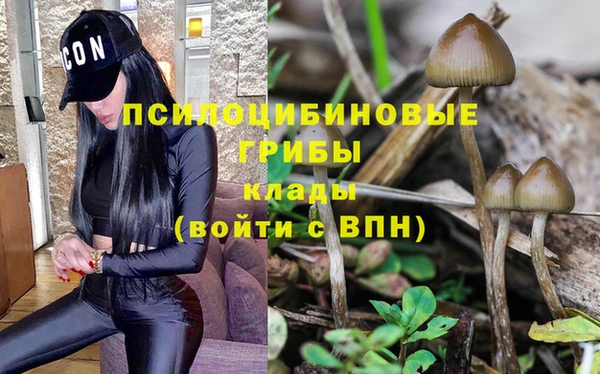 прущие крисы Бронницы
