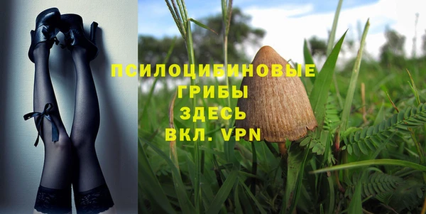 соль ск Бугульма