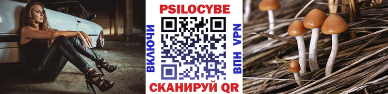 Купить закладки  Кизилюрт  Галлюциногенные грибы Psilocybine cubensis 